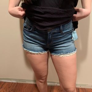 MUDD shorts with lace detailing! Brand new.